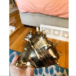 Conch Shell Decor 🐚